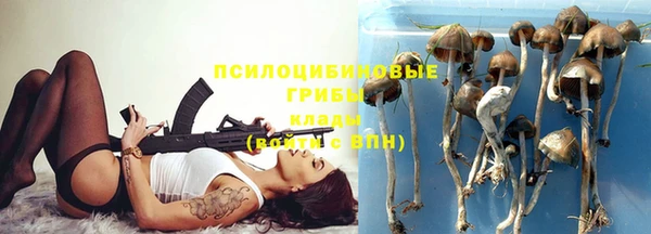 мет Алексеевка
