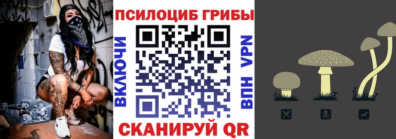 Галлюциногенные грибы MAGIC MUSHROOMS Тейково