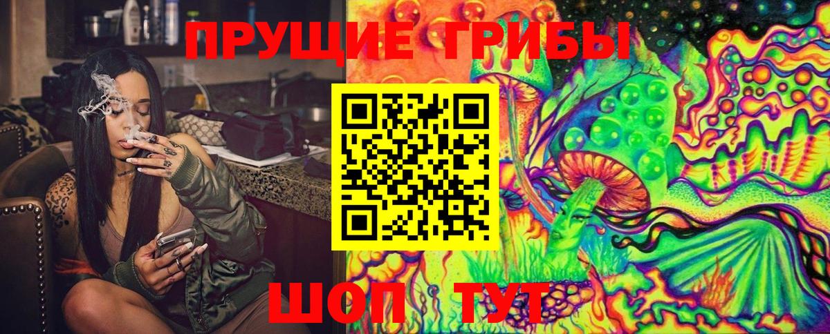 Галлюциногенные грибы Cubensis Тейково